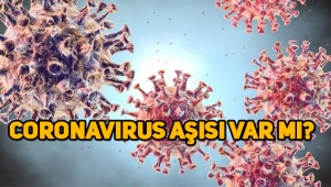 Coronavirüs aşısı var mı? Korona virüs aşısı fiyatı ne kadar?