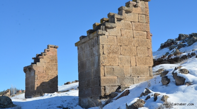 Gesi Kuş Evleri, Melikgazi Korumasında