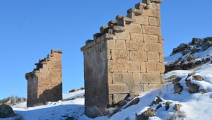 Gesi Kuş Evleri, Melikgazi Korumasında