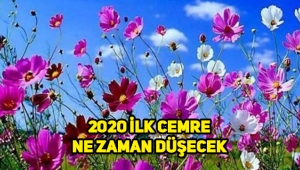 İlk Cemre ne zaman ve nereye düşecek, havalar ne zaman ısınacak?
