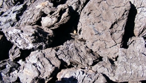 Linyit Üretimi Azaldı