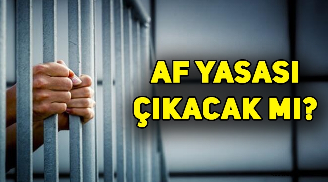 Af yasası ne zaman çıkacak, hangi suçlular af yasasından yararlanabilecek?