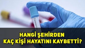Koronavirüsten hangi şehirde kaç kişi öldü?