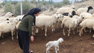 Çiftçiye Ödeme Desteği