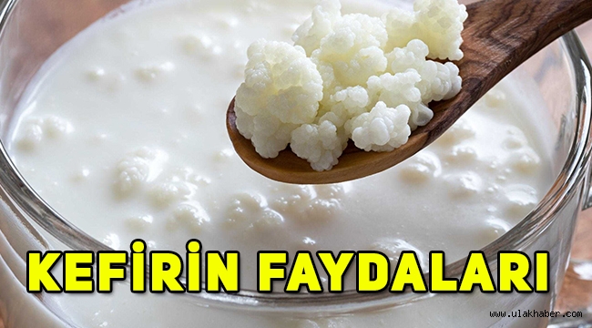 Kefir nedir, kefirin faydaları nelerdir, kefirin içerisinde hangi maddeler vardır?