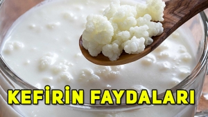 Kefir nedir, kefirin faydaları nelerdir, kefirin içerisinde hangi maddeler vardır?