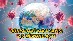 Korona virüs vaka sayısı dünya genelinde 2,5 milyonu aştı