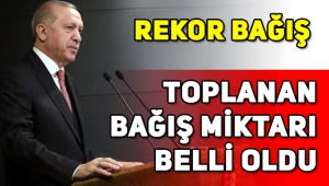 Milli dayanışma kampanyasında ne kadar bağış toplandı?