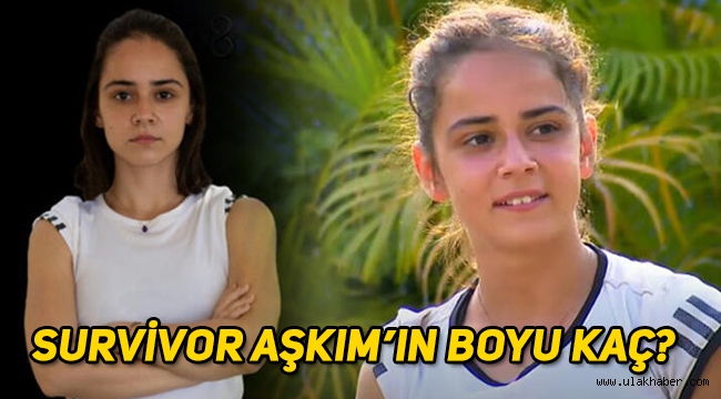 Survivor Aşkım kimdir, boyu kaç?