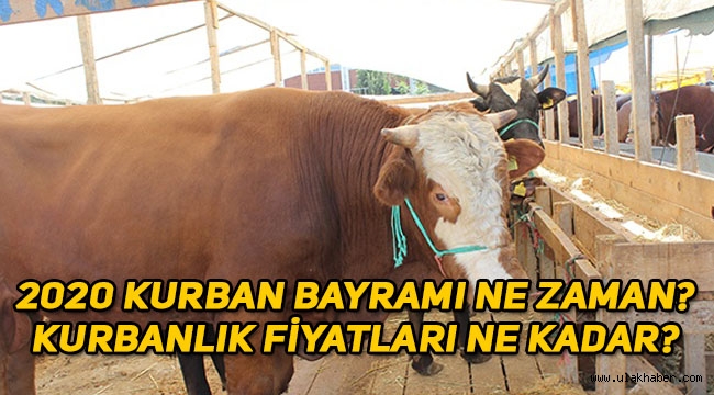 2020 Kurban Bayramı ne zaman, kurbanlık fiyatları bu yıl ne kadar?