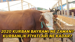 2020 Kurban Bayramı ne zaman, kurbanlık fiyatları bu yıl ne kadar?