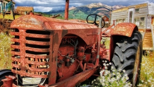 Kırsal Kalkınma İçin Destekler Artacak