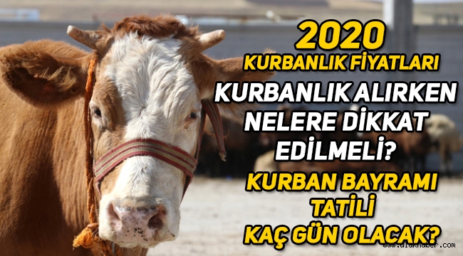 Kurbanlık alırken nelere dikkat etmek gerekir, 2020 kurbanlık fiyatları ne kadar, Kurban Bayramı tatili kaç gün?