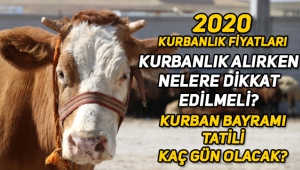 Kurbanlık alırken nelere dikkat etmek gerekir, 2020 kurbanlık fiyatları ne kadar, Kurban Bayramı tatili kaç gün?