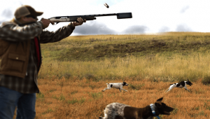 Tehlike altındaki kuşlar için doğa severlerden kampanya