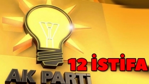 Ak Parti'de 12 istifa