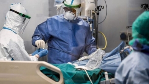 Koronavirüste yeni bulgular saptandı