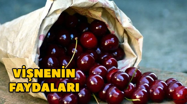 Vişnenin faydaları nelerdir, vişne nelere, hangi hastalıklara iyi gelir?