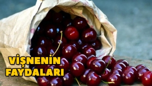 Vişnenin faydaları nelerdir, vişne nelere, hangi hastalıklara iyi gelir?