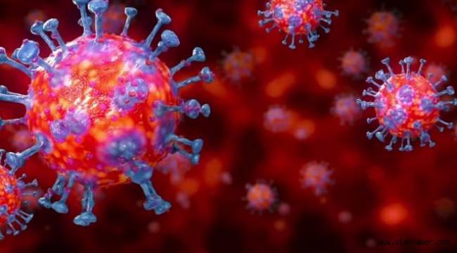Avrupa'da koronavirüs paniği büyüyor!