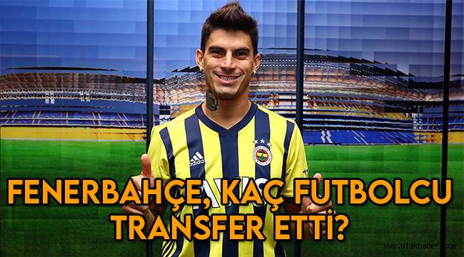 Fenerbahçe kaç futbolcu transfer etti, hangi futbolcuları aldı?