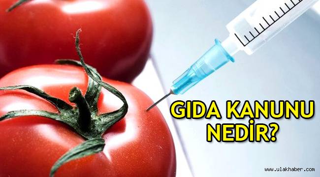 Gıda kanunu nedir, gıda kanunu tasarısında neler var, neden istenmiyor ve tepki gösteriliyor?