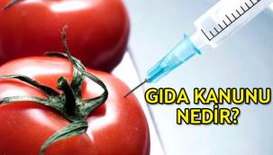 Gıda kanunu nedir, gıda kanunu tasarısında neler var, neden istenmiyor ve tepki gösteriliyor?