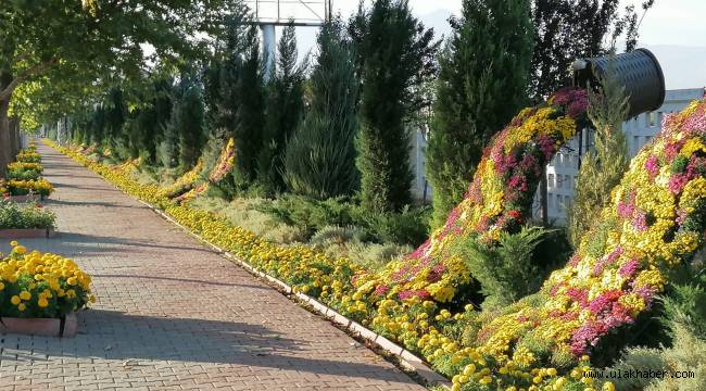 Kayseri'de sonbahar bir başka güzel