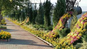 Kayseri'de sonbahar bir başka güzel