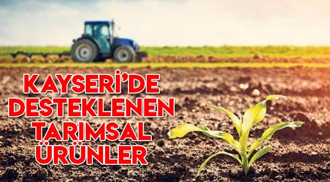 2020 Tarımsal destek hangi illere verildi, Kayseri'de hangi tarım ürünleri desteklenecek?