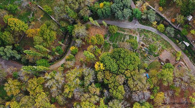 Büyükşehir Belediyesi'nden 'Koramaz Vadisi' açıklaması