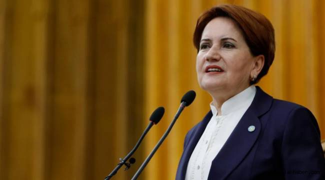 Meral Akşener, Bakan Pakdemirli'yi istifaya çağırdı