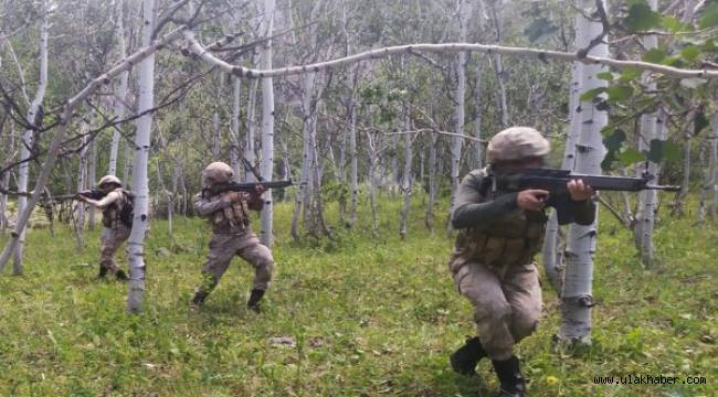 Barış Pınarı Bölgesi'nde 15 terörist etkisiz hale getirildi