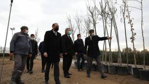 Başkan Palancıoğlu, fidanlığı inceledi