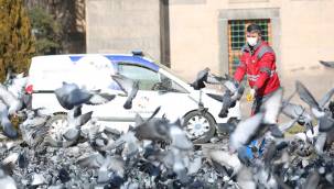 Kocasinan'da sevimli küçük dostlara yem ve mama takviyesi