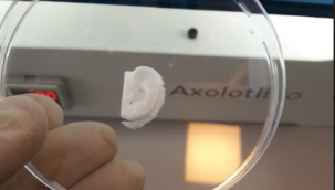 Türk bilim insanları, yapay doku üretecek