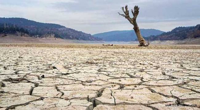 Dünyada son zamanların en büyük kuraklığı yaşanıyor