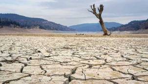 Dünyada son zamanların en büyük kuraklığı yaşanıyor