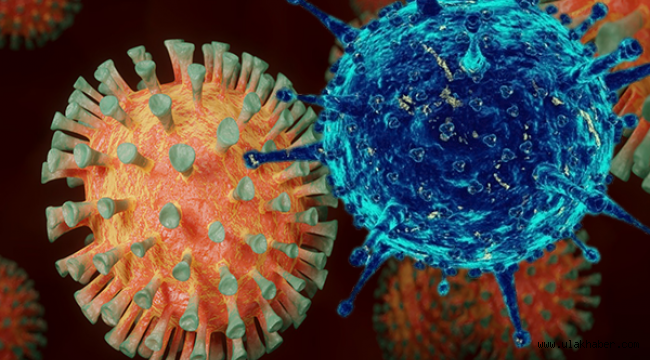 Koronavirüsün yeni mutasyonu daha hızlı yayılıyor