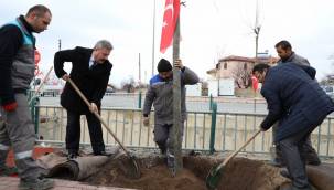 Melikgazi'de 1 yıl da 70 bin ağaç toprakla buluştu