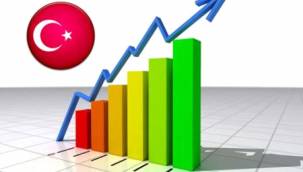 Milli gelire 4,6 milyon TL'lik katkı