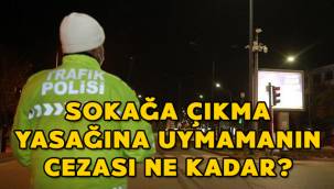 Sokağa çıkma yasağına uymamanın cezası ne kadar?