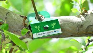 650 bin faydalı böcekle ormanlar korunacak