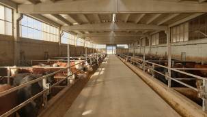 Beydeğirmeni besi bölgesinde metan gazından elektrik üretilecek