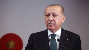 Cumhurbaşkanı Erdoğan'dan Berat Albayrak yorumu: Damat sıfatı başarısının önüne geçti