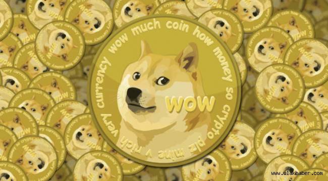 Dogecoin'lerin yüzde 28'lik kısmının 1 kişiye ait olduğu ortaya çıktı