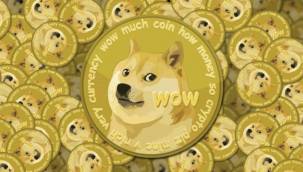 Dogecoin'lerin yüzde 28'lik kısmının 1 kişiye ait olduğu ortaya çıktı