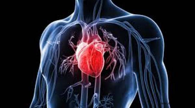 Kalp hastalarına koronavirüs sürecinde 5 önemli uyarı