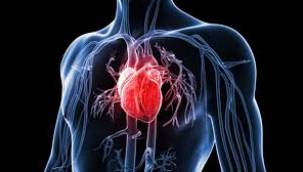 Kalp hastalarına koronavirüs sürecinde 5 önemli uyarı