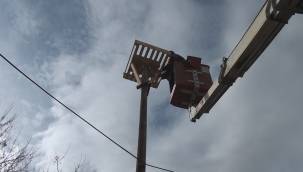 Kocasinan Belediyesi'nden leyleklere özel yuva